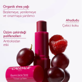بالم لب رنگی کدلی مدل رزبری CAUDALIE